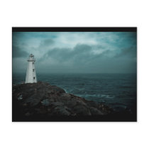 In The Storm