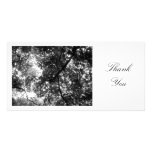 In the Trees - Thank You Customized Photo Card