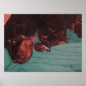 In the Whelping Box poster posters