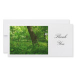 In the Woods - Thank You photo cards