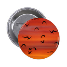 In Transit Button