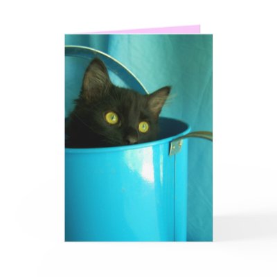 in water can Card