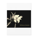 In you time of sorrow - condolences postcards