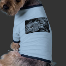 In your face pet clothing