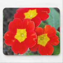 In your face red mousepads