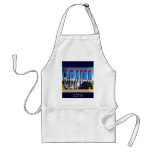 INAUGURATION DAY aprons