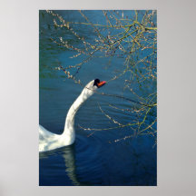 Incoming Spring - poster