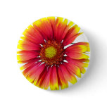 Indian Blanket Flower Pinback Button