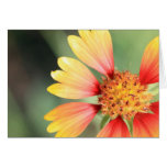 Indian Blanket Greeting Card