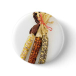 Indian Colourised Corn On White Background buttons