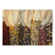 Indian Corn Cards