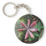 Indian Cucumber ~ keychain