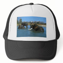 Indian Elephants lying down, bathing Trucker Hat