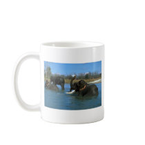 Indian Elephants lying down, bathing Coffee Mugs