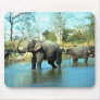 Indian Elephants mud bathing Mouse Pad