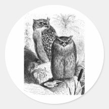 Indian Fishing Owls Vintage Wood Engraving Sticker