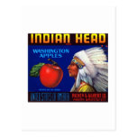 Indian Head Washington Apples Post Card