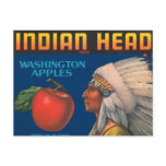 Indian Head Washington Apples Vintage Ad Post Cards