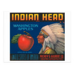 Indian Head Washington Apples Vintage Crate Label Postcard