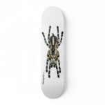 Indian Ornamental Board - naked skateboards