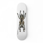 Indian Ornamental Board - white skateboards