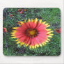 Indian Paintbrush Mousepad