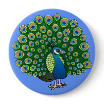 Indian Peafowl