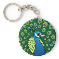 Indian Peafowl