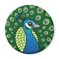 Indian Peafowl