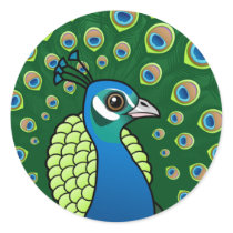 Indian Peafowl