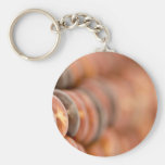 Indian Red Corn For Halloween 4 Keychains