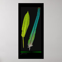 Indian Ringneck Parakeet feather & bamboo leaf Poster