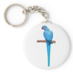 Indian Ringneck Parakeet Keychain