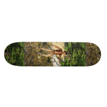 Indian Warrior Skateboard