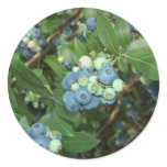 Indiana Blueberries Stickers