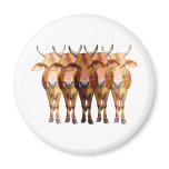 India's cow magnets