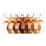 India's cow photo cards