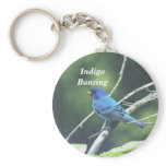 Indigo Bunting keychains