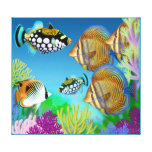 Indo Pacific Coral Reef Fish Wrapped Canvas Canvas Prints