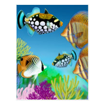 Indo Pacific Reef Fish Postcard