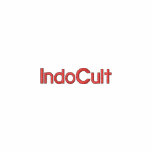 IndoCult Plain embroidered shirts