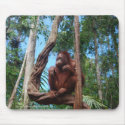 Indonesian Rainforest Lounging Chair mousepads
