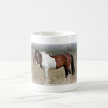 "Indy" paint horse mug