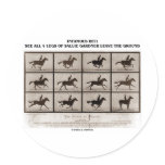 Infamous Bet 4 Legs Sallie Gardner Leave Ground stickers