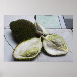 Infamous Durian Fruit Posters