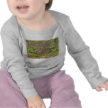 Infant Rabbit long sleeve shirt