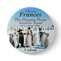 Infinity Antarctica feb 2013 Penguin Posse Pinback Buttons