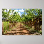 Infinity & Beyond Print