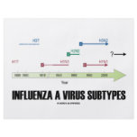 Influenza A Virus Subtypes (Health Medicine) flyers