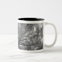 infrared tree mugs